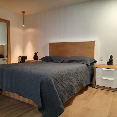 מקסיקו סיטי Coyoacan Magico מראה חיצוני תמונה
