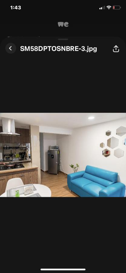 מקסיקו סיטי Coyoacan Magico מראה חיצוני תמונה
