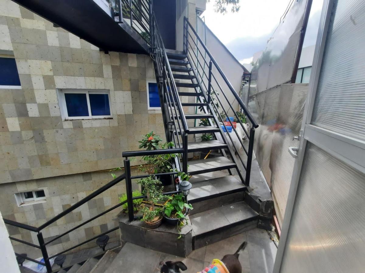 מקסיקו סיטי Coyoacan Magico מראה חיצוני תמונה