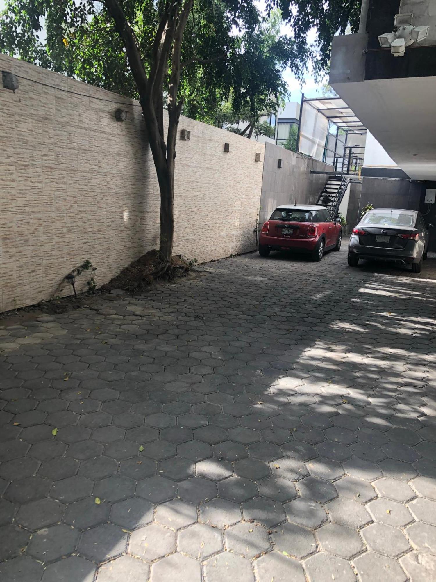 מקסיקו סיטי Coyoacan Magico מראה חיצוני תמונה